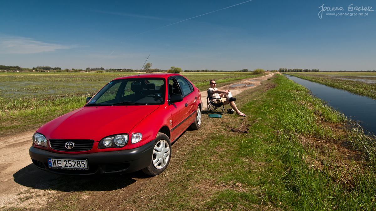 042_Biebrza - kwiecien 2012.jpg